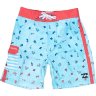 БОРДШОРТЫ  Billabong PEAKY BILLY TODD. 13 Ice